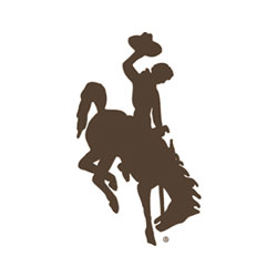 Cowboys Logo